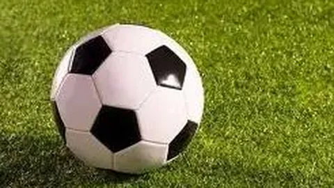 爱游戏体育 资讯 084545 lsf